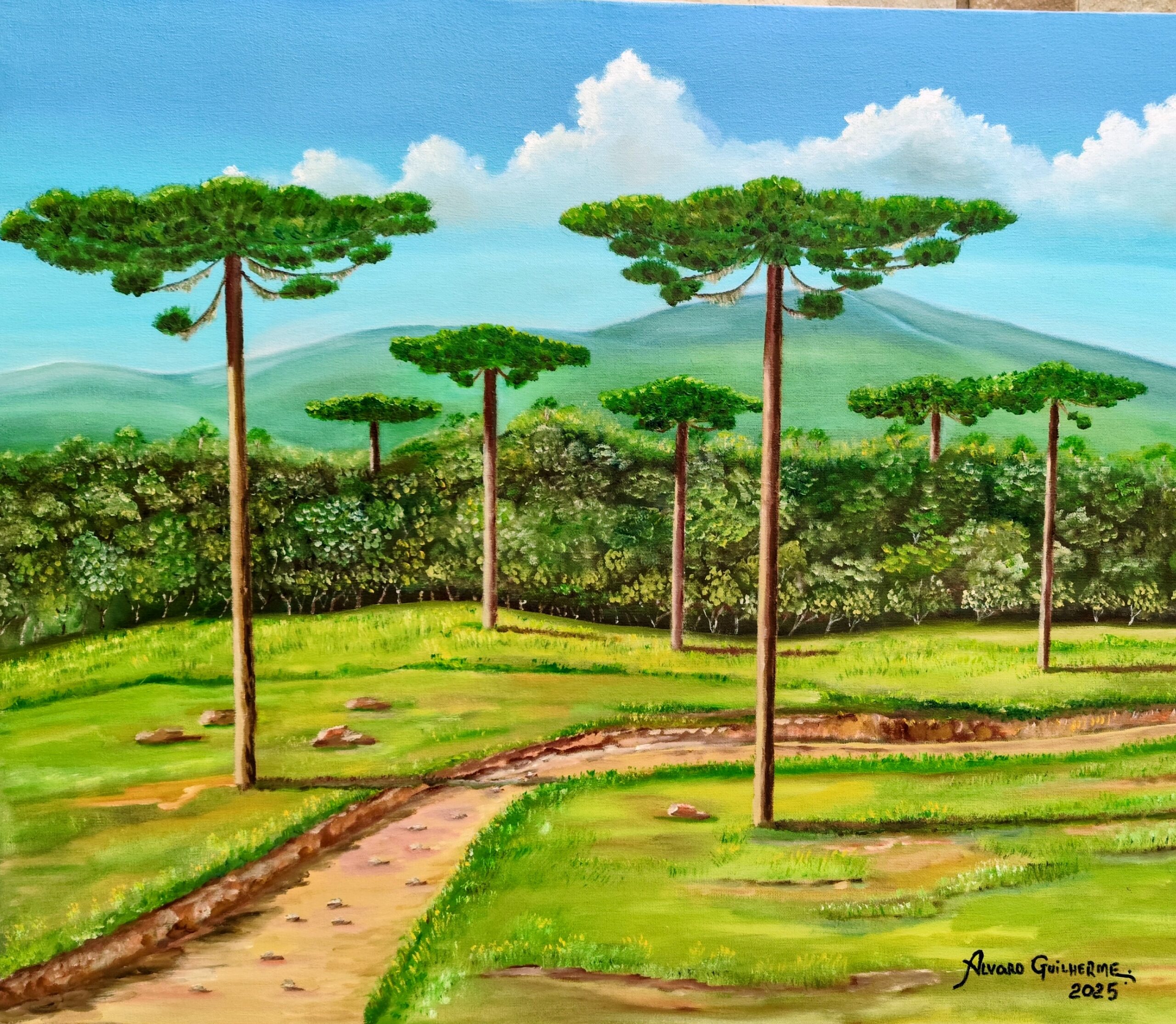 IMG_20251113_110634~2araucarias do parana